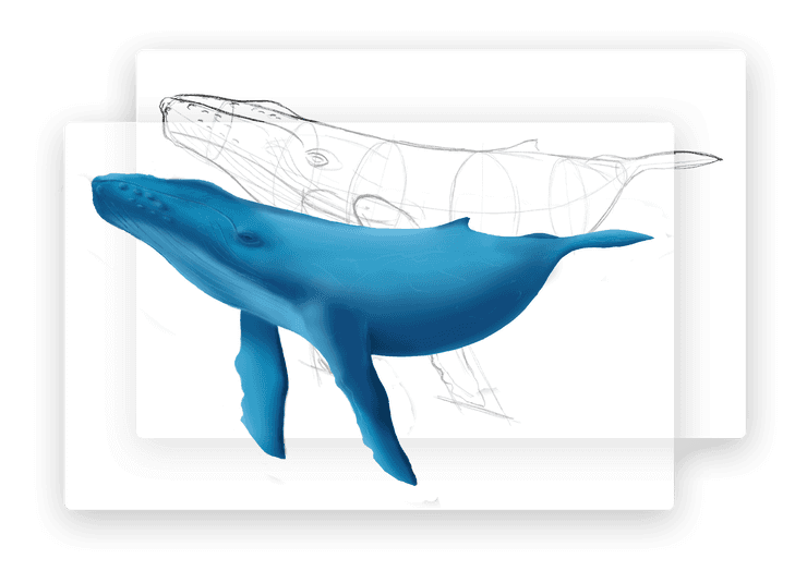 Flow Layers Whale Example
